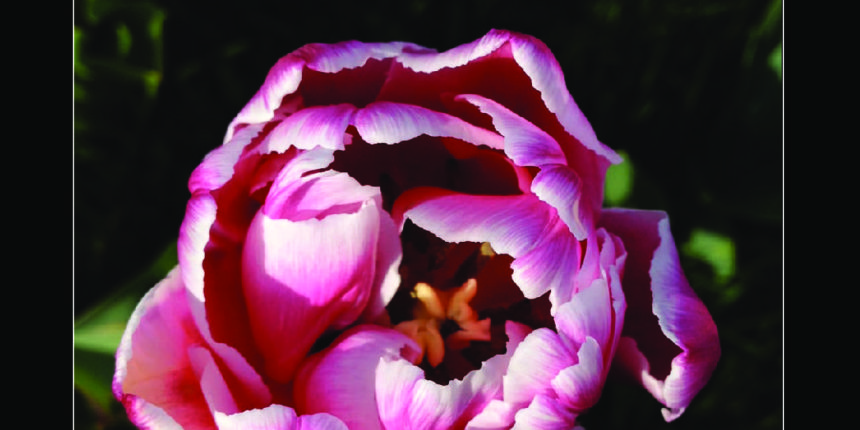 Silver Hill Hospital